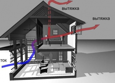 Во многих частных домах есть подвалы, используемые для хранения овощей, фруктов или домашней консервации. Подчас там ...